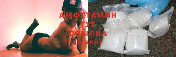 ГАЛЛЮЦИНОГЕННЫЕ ГРИБЫ Абаза