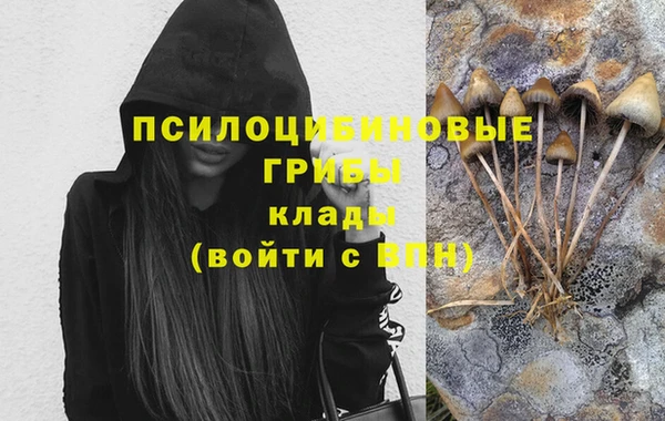 ГАЛЛЮЦИНОГЕННЫЕ ГРИБЫ Абаза