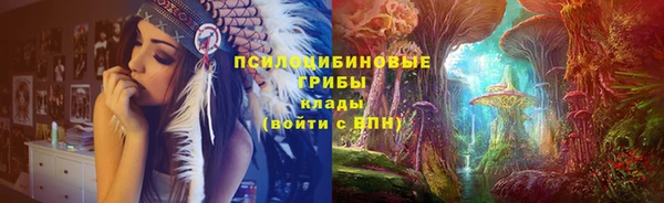ГАЛЛЮЦИНОГЕННЫЕ ГРИБЫ Абаза