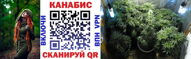 Канабис план  Моршанск 